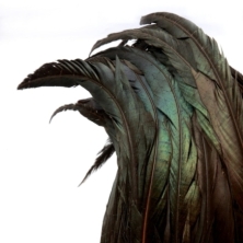 The Papua Feather Hat on Stand - Black