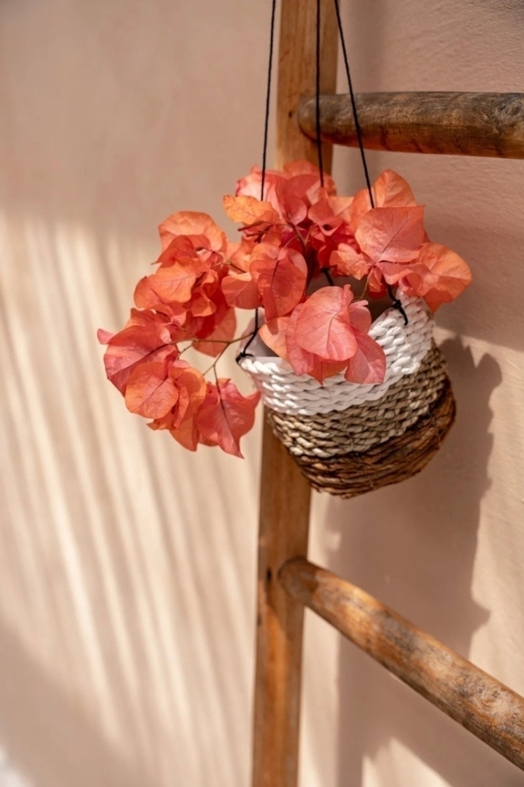 The Banana Plant Hanger - Natural White - S
