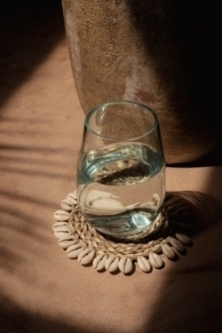 The Seagrass Shell Coaster - White