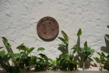 The Jasmine Plate - Brown - XL
